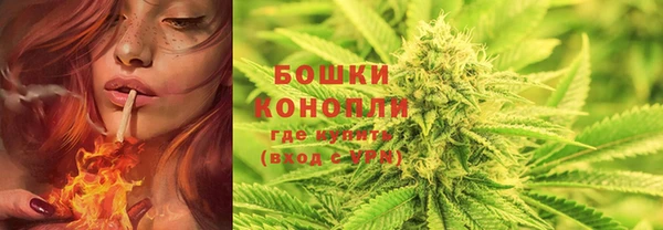 ГАЛЛЮЦИНОГЕННЫЕ ГРИБЫ Алексеевка