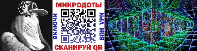 даркнет телеграм  Новороссийск  Галлюциногенные грибы Psilocybine cubensis 